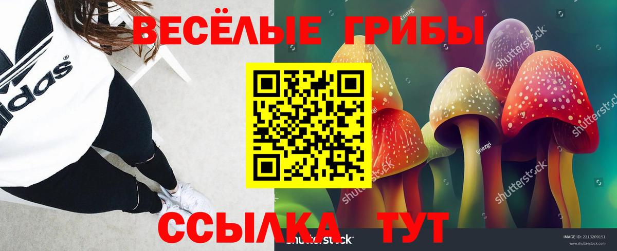 Галлюциногенные грибы Psilocybe  Вход с VPN  Псилоцибиновые грибы прущие грибы  Тихвин 