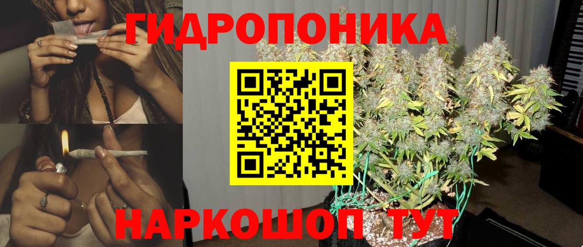 Шишки марихуана Amnesia Тихвин